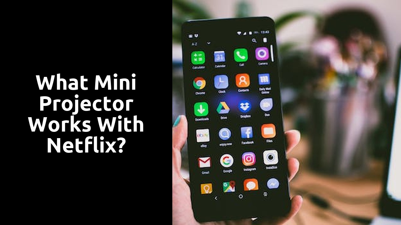 What mini projector works with Netflix?